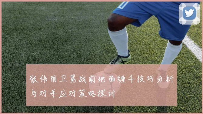 张伟丽卫冕战前地面缠斗技巧分析与对手应对策略探讨