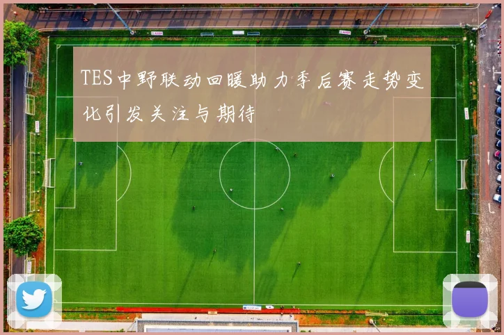 TES中野联动回暖助力季后赛走势变化引发关注与期待